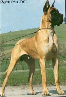 Glenn Von Ferndorftal