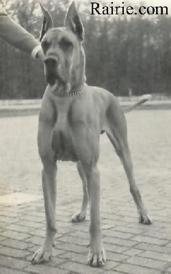 Ch Ares Von Furst Bismarck