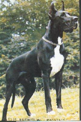 Henning Von Harlekin