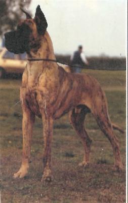 Extra Von Haus Fresena