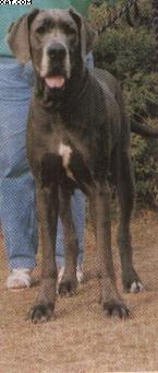 Findelkind Von Haus Fresena