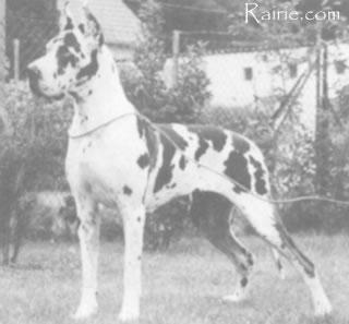 Ulkige Von Haus Fresena