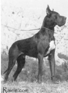 Hannibal Von Haus Istra