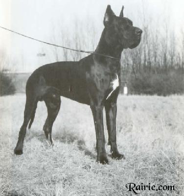 Julius Von Haus Istra