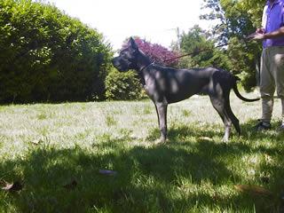 Latoya Von Haus Tiefenbach