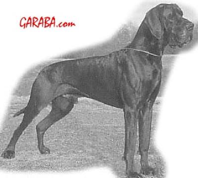 Nahbay Von Haus Tiefenbach