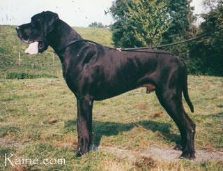 Nahbay Von Haus Tiefenbach