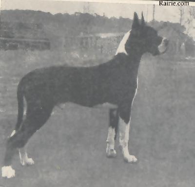 Othello Von Hause  Geco