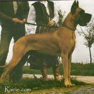 Gordon Von Heide Bruch