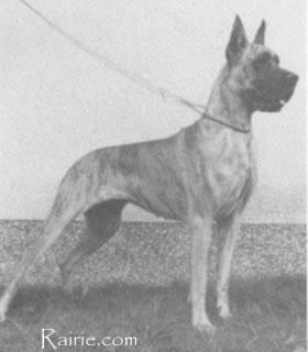 Hella Von Hermannsland