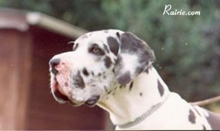 Domingo Von Herrenstriet