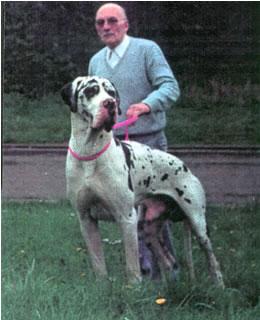 Arthos Von Hirschfeld