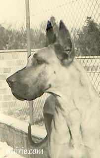 Krischna Von Hoch Eberstein