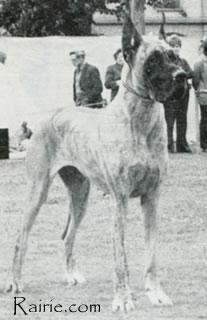 Ch Claudine Von Huggenottenstadt