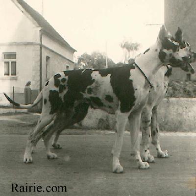 Fatme Von Hunneheide