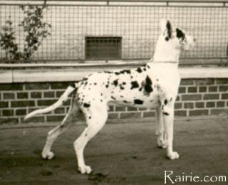 Casar Von Insultheimer Hof