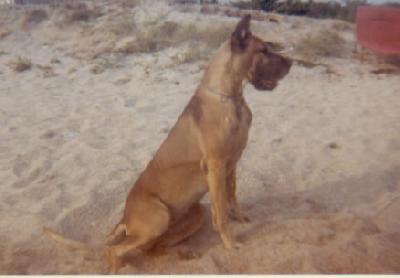 Gilda Von Kuerenberg