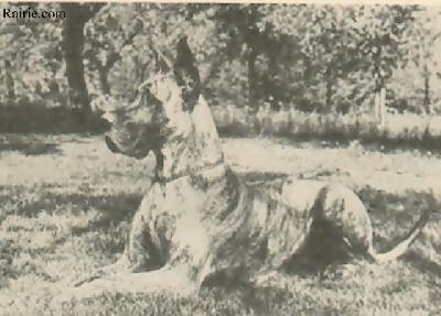 Helke Von Kuerenberg