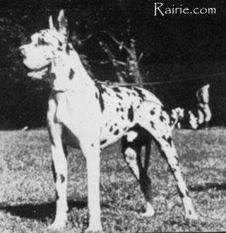 Ch Quintus Von Lehberg