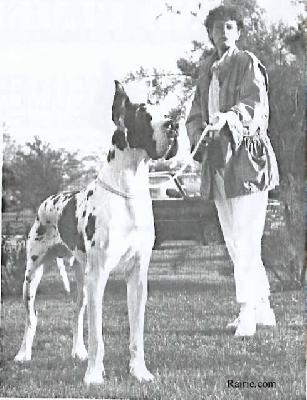 Ch Florian Von Maverick