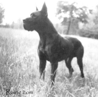 Telamon Von Mediterranee