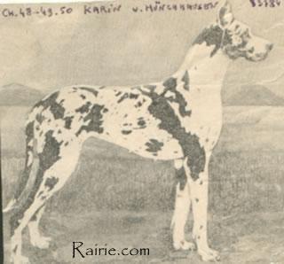 Ch Karin Von Munchhausen