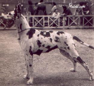 Ch Vera Von Munchhausen