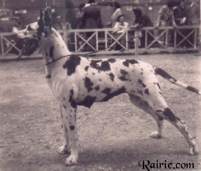 Ch Vera Von Munchhausen