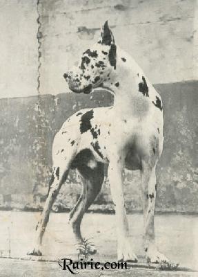 Visko Von Munchhausen