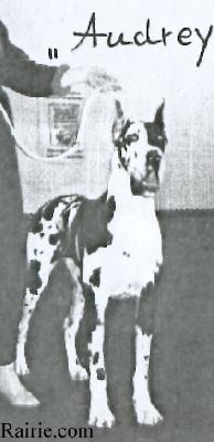 Audrey Von Munsterland