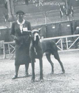 Cerberus Von Normanshof