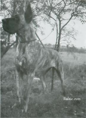 Gundi Von Old Bavaria