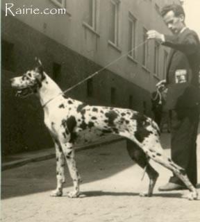 Andra Von Philosophen Wald