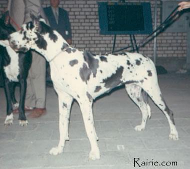 Candy Von Riedstern