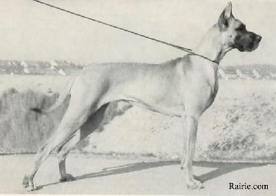 Diana Von Romer Eiche