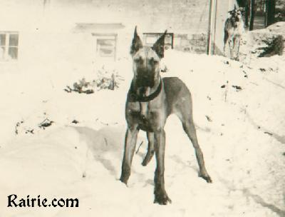 Isabeau Von Schilfkolben