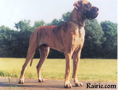 Chuzhoj Von Schlesien