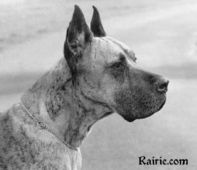 Ch Bento Von Seeacher