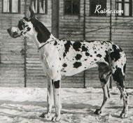 Kalandus Von St Magn Obertraubling