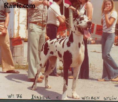 Ch Isabell Von Weissen Stein