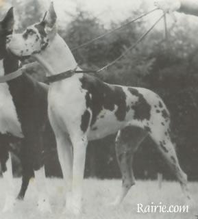 Britta Von Welfenblut