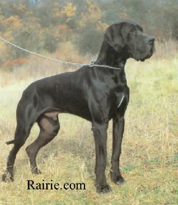 Erlk�nig Von Wotans Meute