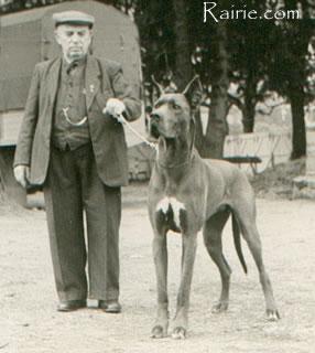 Amira Von Der Elbmarsch