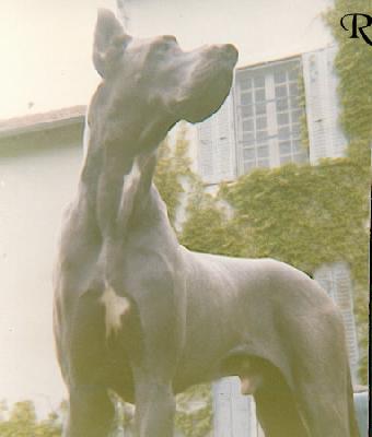 Sacha De La Templerie