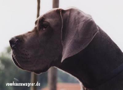 Tyler Vom Hause Wagner