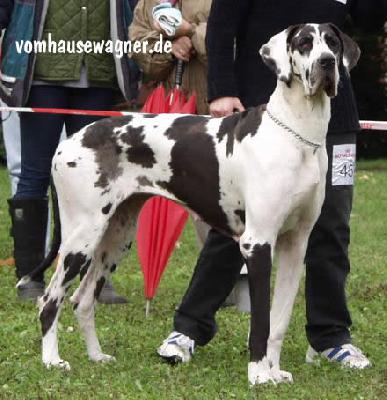 Jagoda Von Schlesien