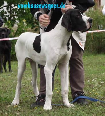 Amadeo Vom Teufelsgrund