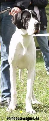 Aphrodite-ostara Vom Teufelsgrund