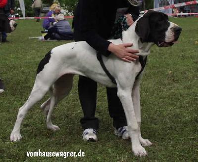 Asia Vom Teufelsgrund