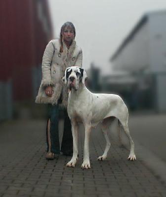 Premia Von Schlesien